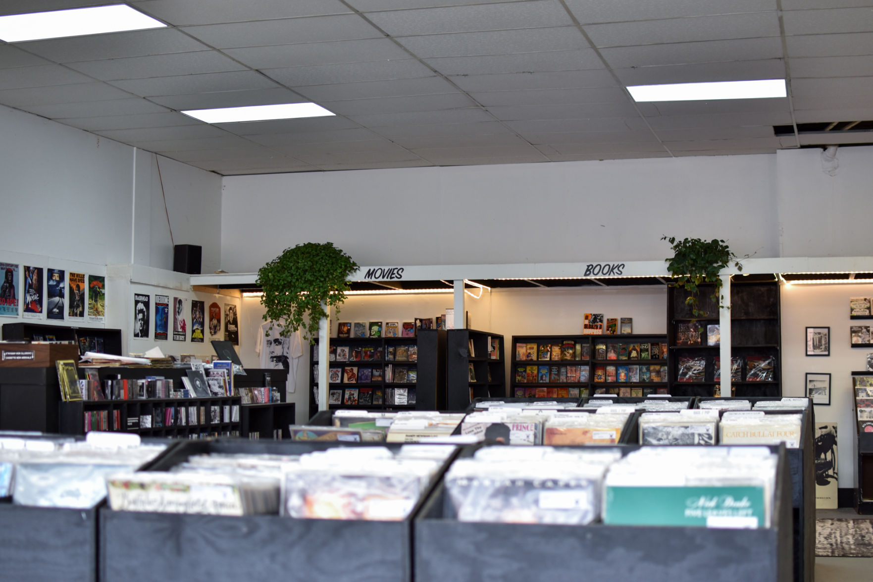 PHOTOS: Record Store Day at Torn Light Records